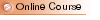 Online Course