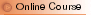 Online Course